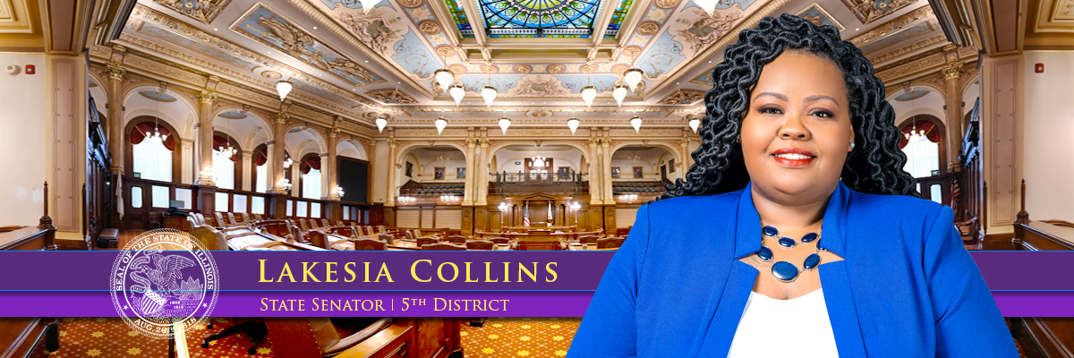Illinois State Senator Lakesia Collins