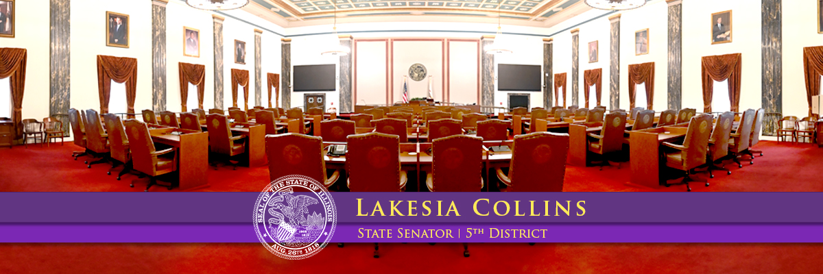 Illinois State Senator Lakesia Collins